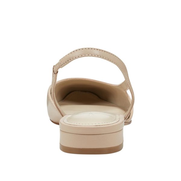 Neworde.shop4b07c6fd23 3